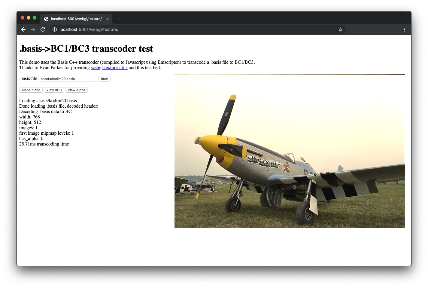Screenshot showing a basis texture rendered as a 2D image in a webpage.