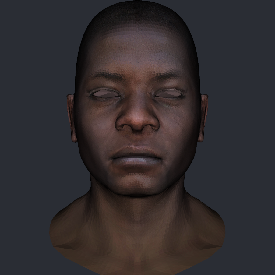 Screenshot of 3D render of a male head